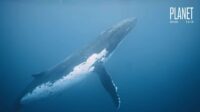 MaritimePosts.com